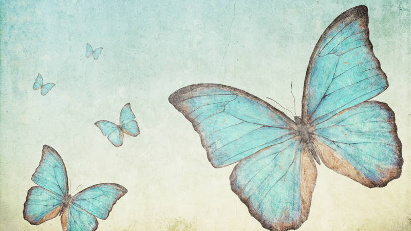 critical degrees fixed signs butterflies vintage