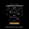 Cosmos and Psyche course